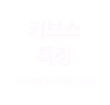 커브스특징